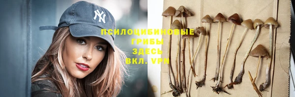 сатива Белоозёрский