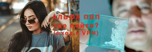 сатива Белоозёрский