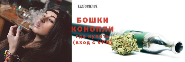 сатива Белоозёрский