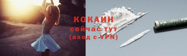 сатива Белоозёрский