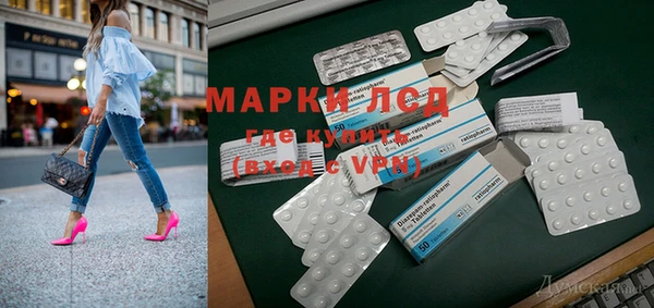 прущие грибы Болотное