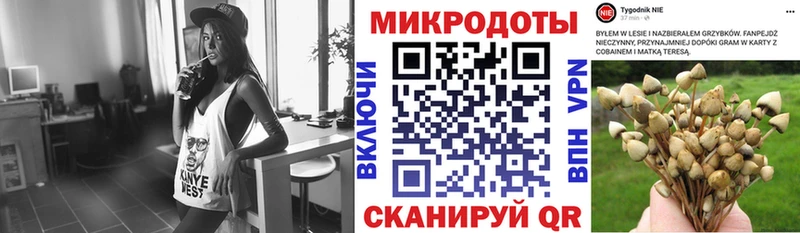 даркнет сайт  Болгар  Галлюциногенные грибы Psilocybine cubensis 