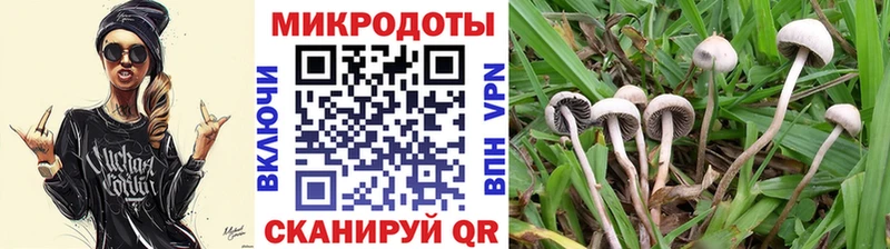 Псилоцибиновые грибы MAGIC MUSHROOMS Болгар