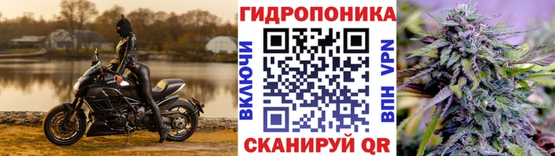 Канабис THC 21%  omg как зайти  Болгар 