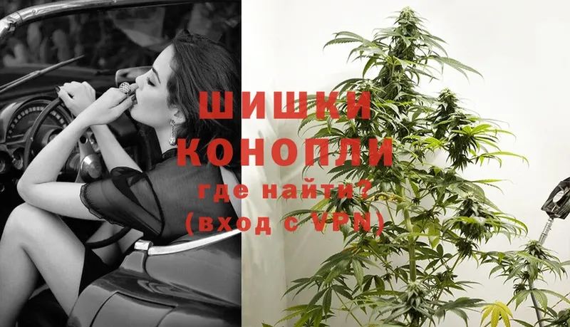 Канабис OG Kush  Болгар 